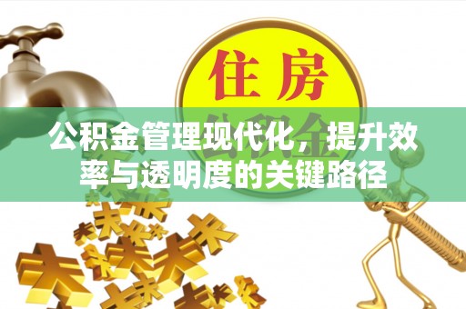 大内公积金管理现代化，提升效率与透明度的关键路径
