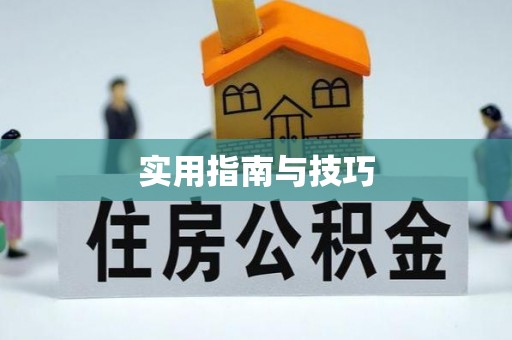 大内实用指南与技巧