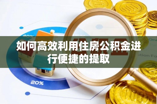 大内如何高效利用住房公积金进行便捷的提取