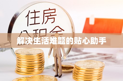 大内解决生活难题的贴心助手