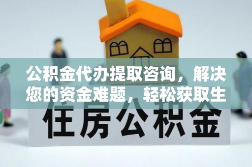 大内公积金代办提取咨询，解决您的资金难题，轻松获取生活助力
