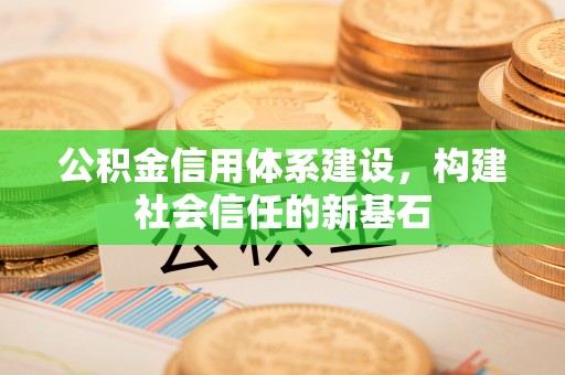 大内公积金信用体系建设，构建社会信任的新基石