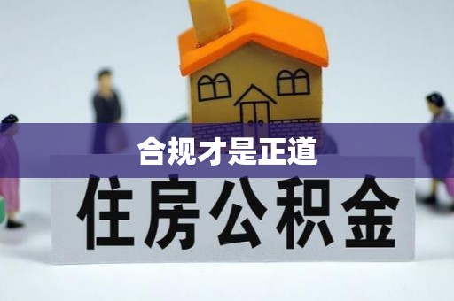 大内合规才是正道