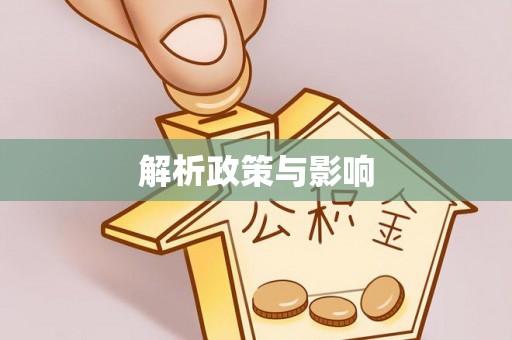 大内解析政策与影响