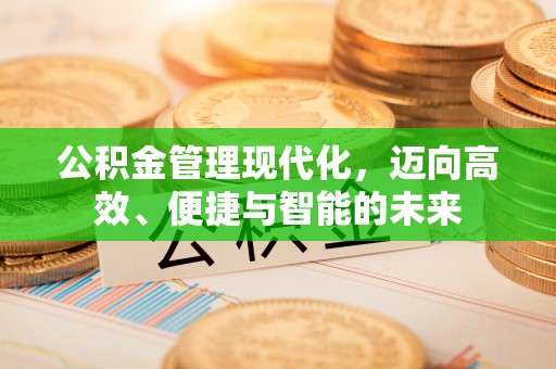 大内公积金管理现代化，迈向高效、便捷与智能的未来