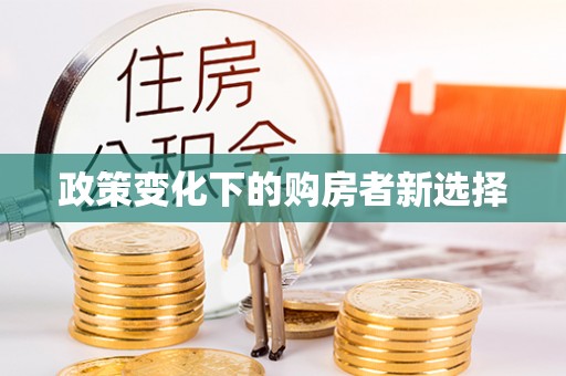 大内政策变化下的购房者新选择