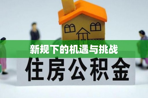 大内新规下的机遇与挑战