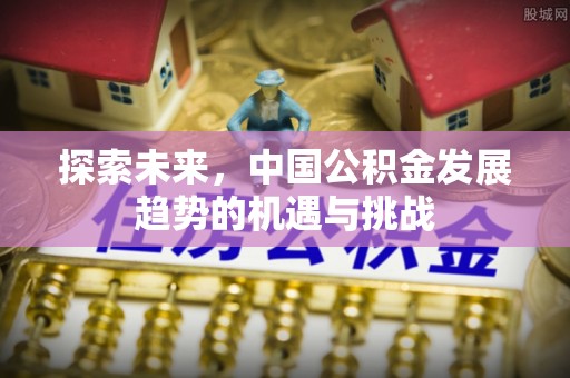 大内探索未来，中国公积金发展趋势的机遇与挑战