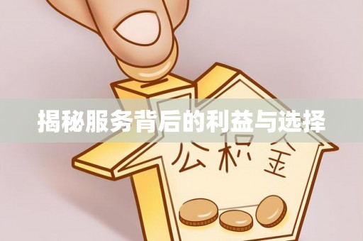 大内揭秘服务背后的利益与选择