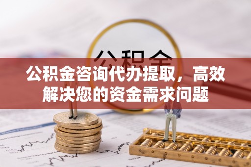 大内公积金咨询代办提取，高效解决您的资金需求问题