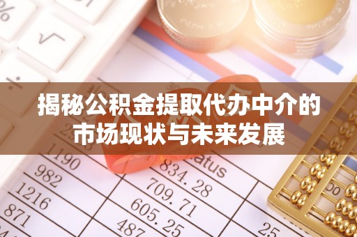 大内揭秘公积金提取代办中介的市场现状与未来发展