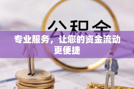 大内专业服务，让您的资金流动更便捷