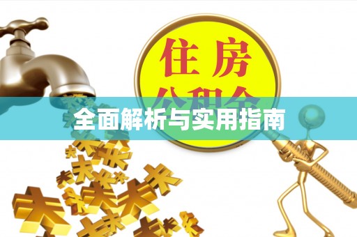大内全面解析与实用指南