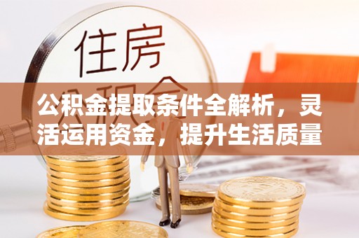 大内公积金提取条件全解析，灵活运用资金，提升生活质量