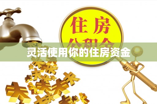 大内灵活使用你的住房资金