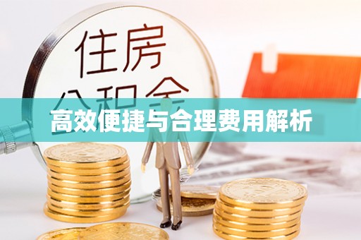 大内高效便捷与合理费用解析