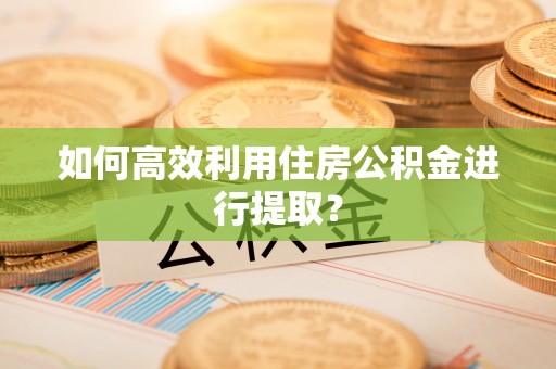 大内如何高效利用住房公积金进行提取？