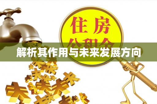 大内解析其作用与未来发展方向
