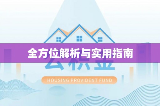 大内全方位解析与实用指南