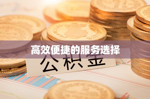 大内高效便捷的服务选择