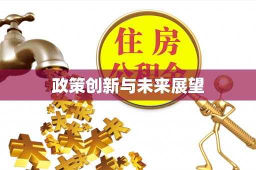大内政策创新与未来展望